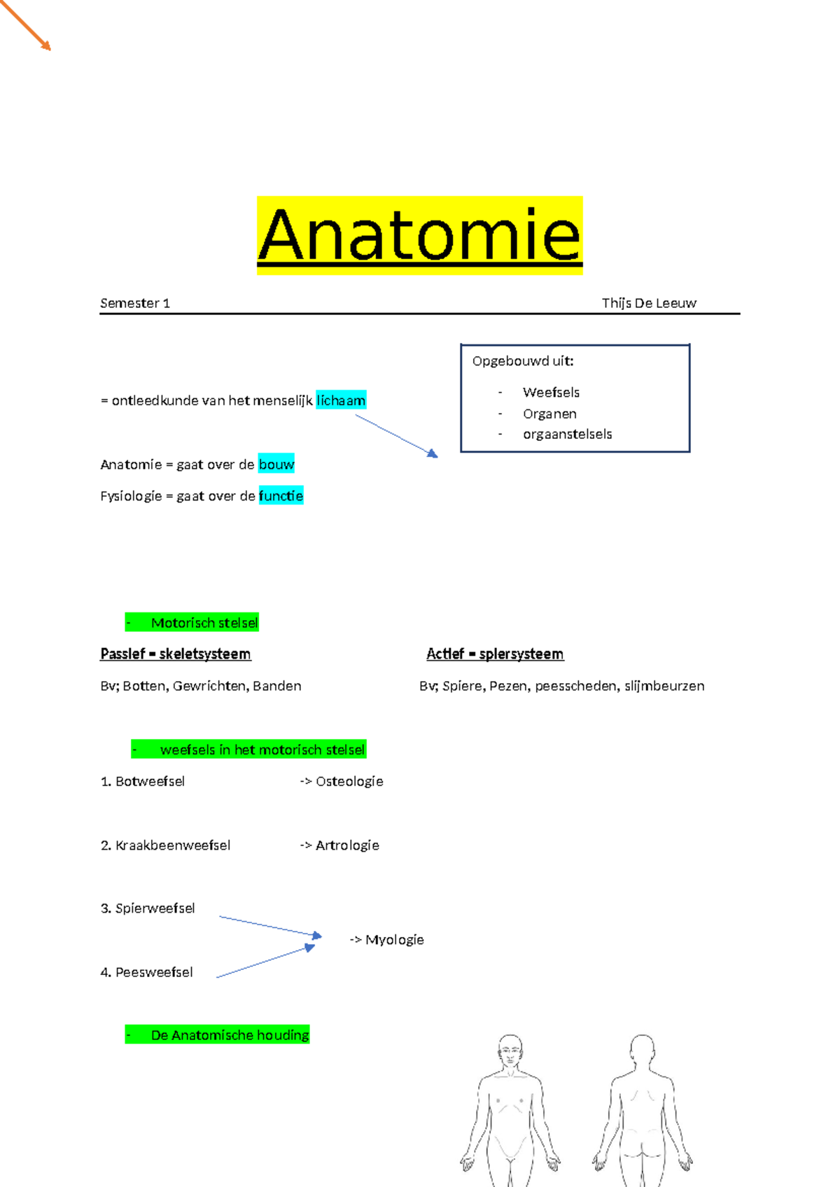 Anatomie VDB (automatisch Hersteld) - Opgebouwd Uit: - Weefsels ...