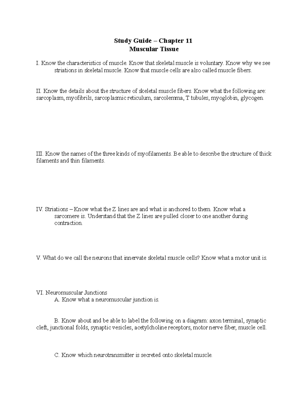 Study+Guide+-+Chapter+11 - Study Guide – Chapter 11 Muscular Tissue I ...