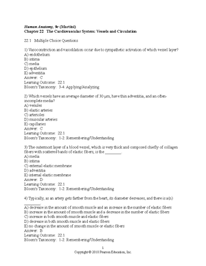 Chapter 13 Nervous System - Human Anatomy, 9e (Martini) Chapter 13 The ...