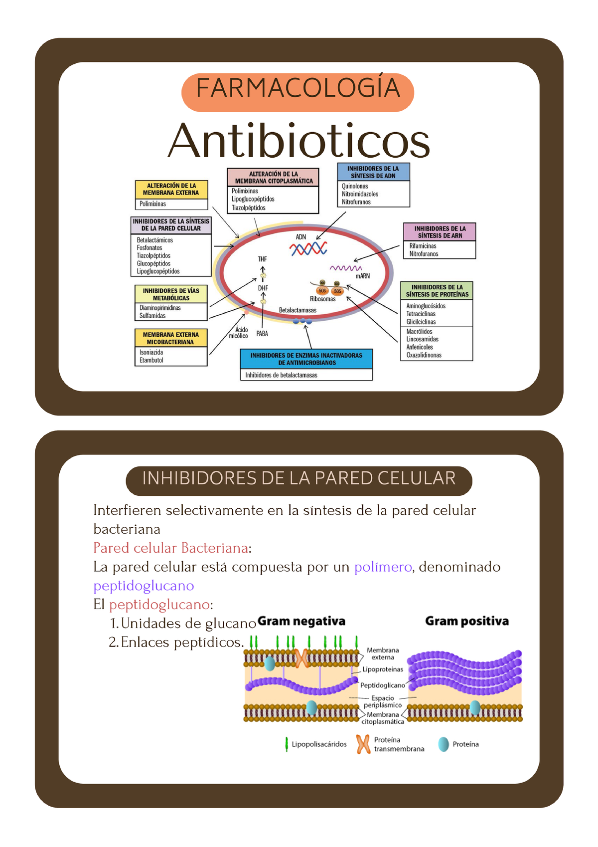 Flashcards Antibacterianos Y Antimicobacterianos - Farmacología - Studocu