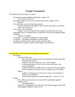 Neurobiology Exam 1 Study Guide - Properties Of Neurons - Properties Of ...