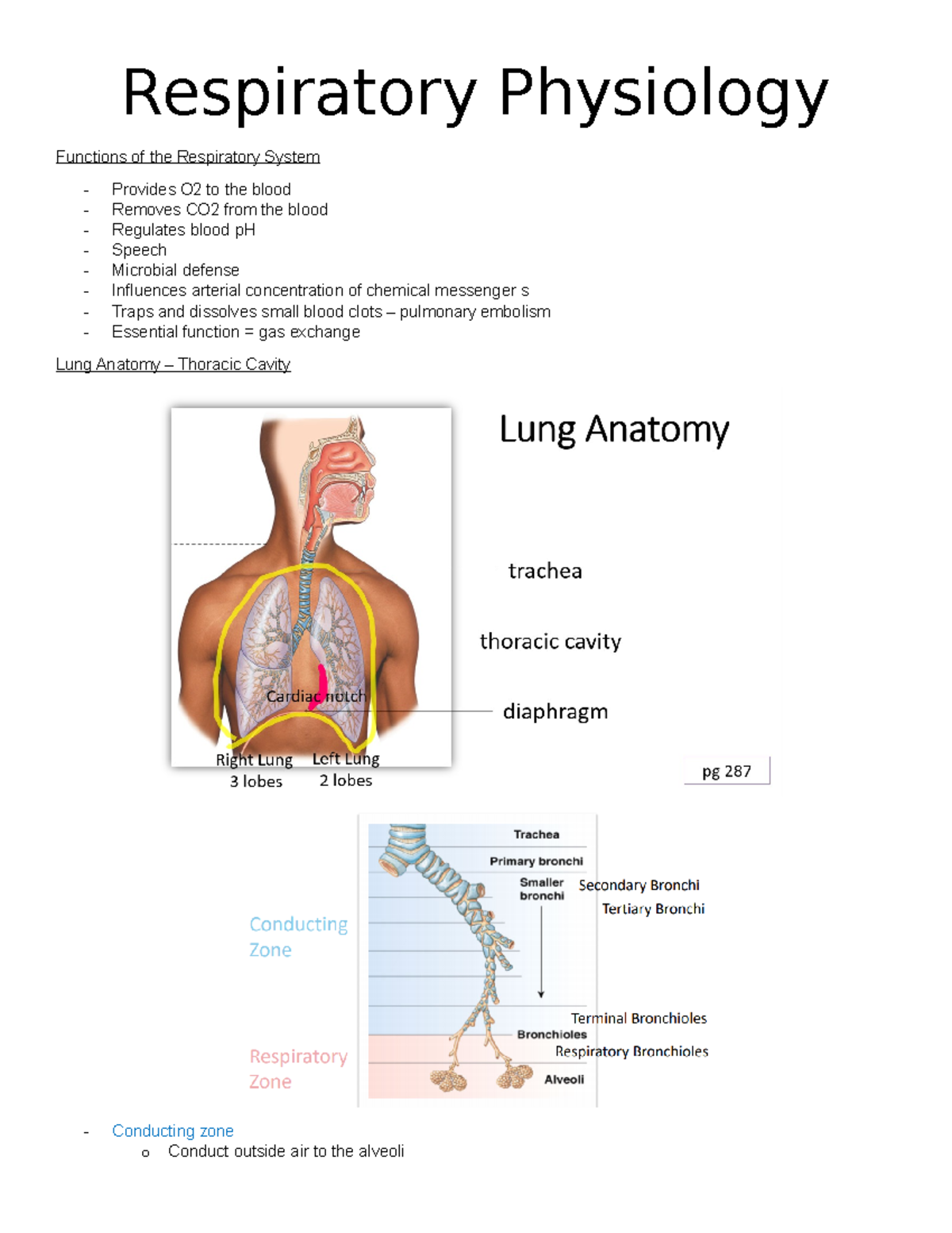 6 - Respiratory Physiology - Respiratory Physiology Functions of the ...