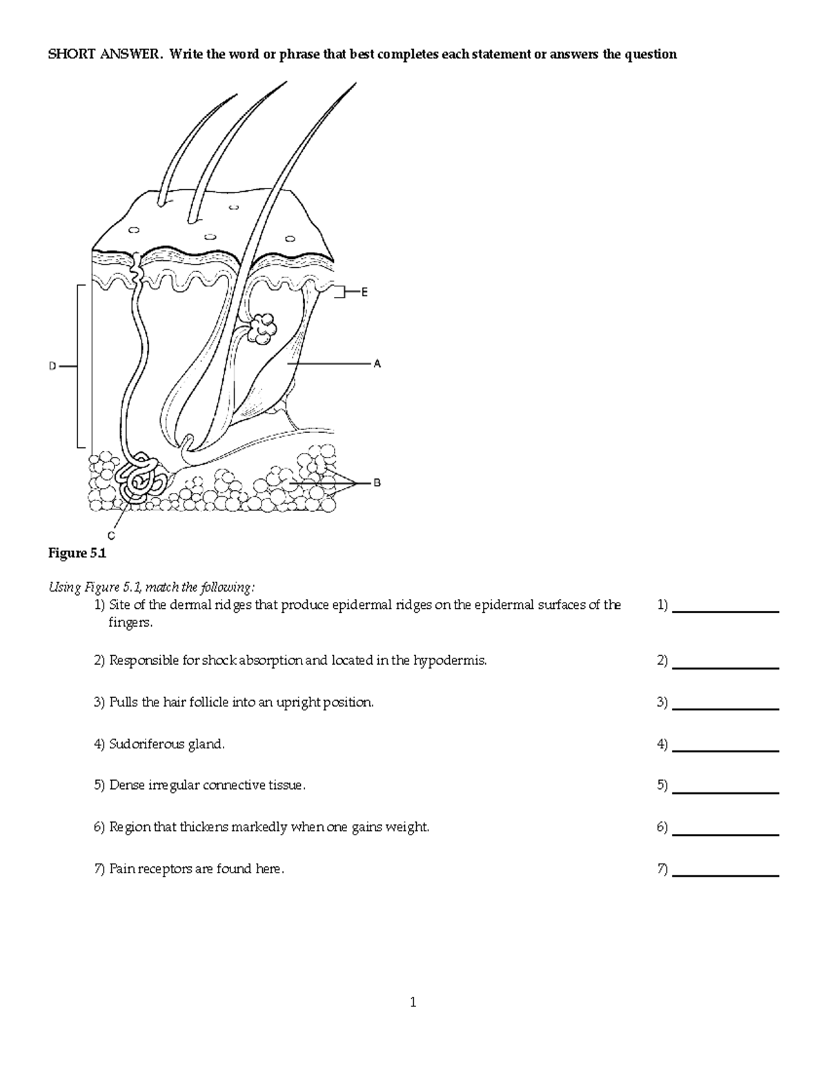 chapter-5-test-bank-short-answer-write-the-word-or-phrase-that-best