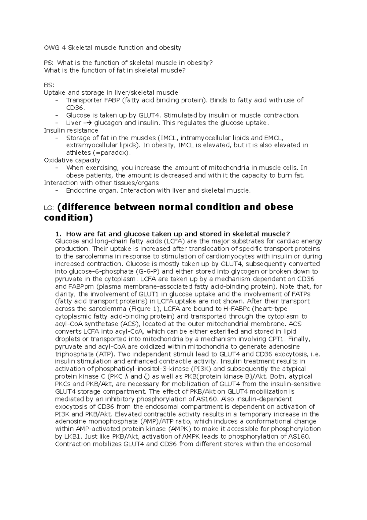 onderwijsgroep-4-owg-4-skeletal-muscle-function-and-obesity-ps-what