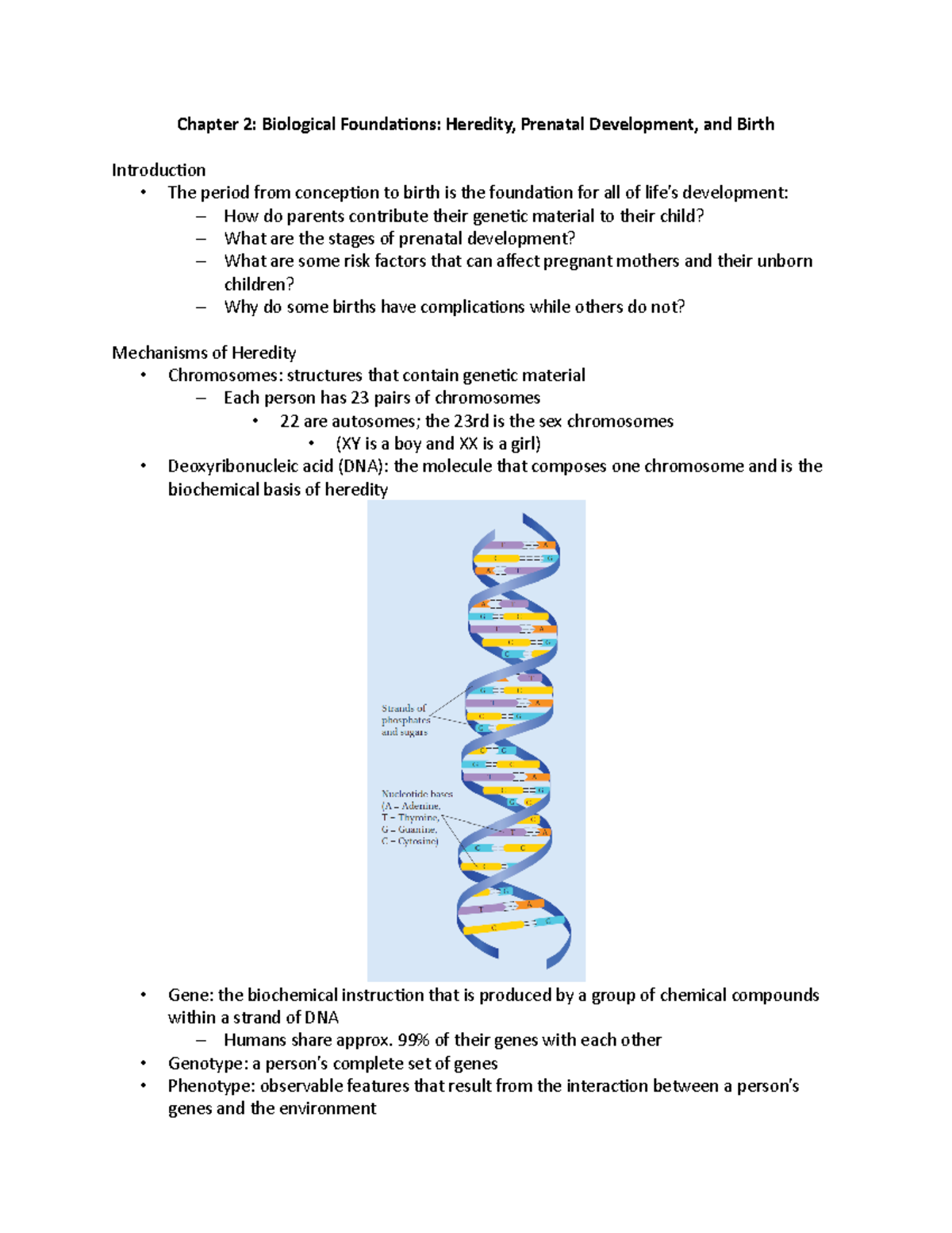 Chapter 2 Notes - Biological Foundations Of Human Development ...