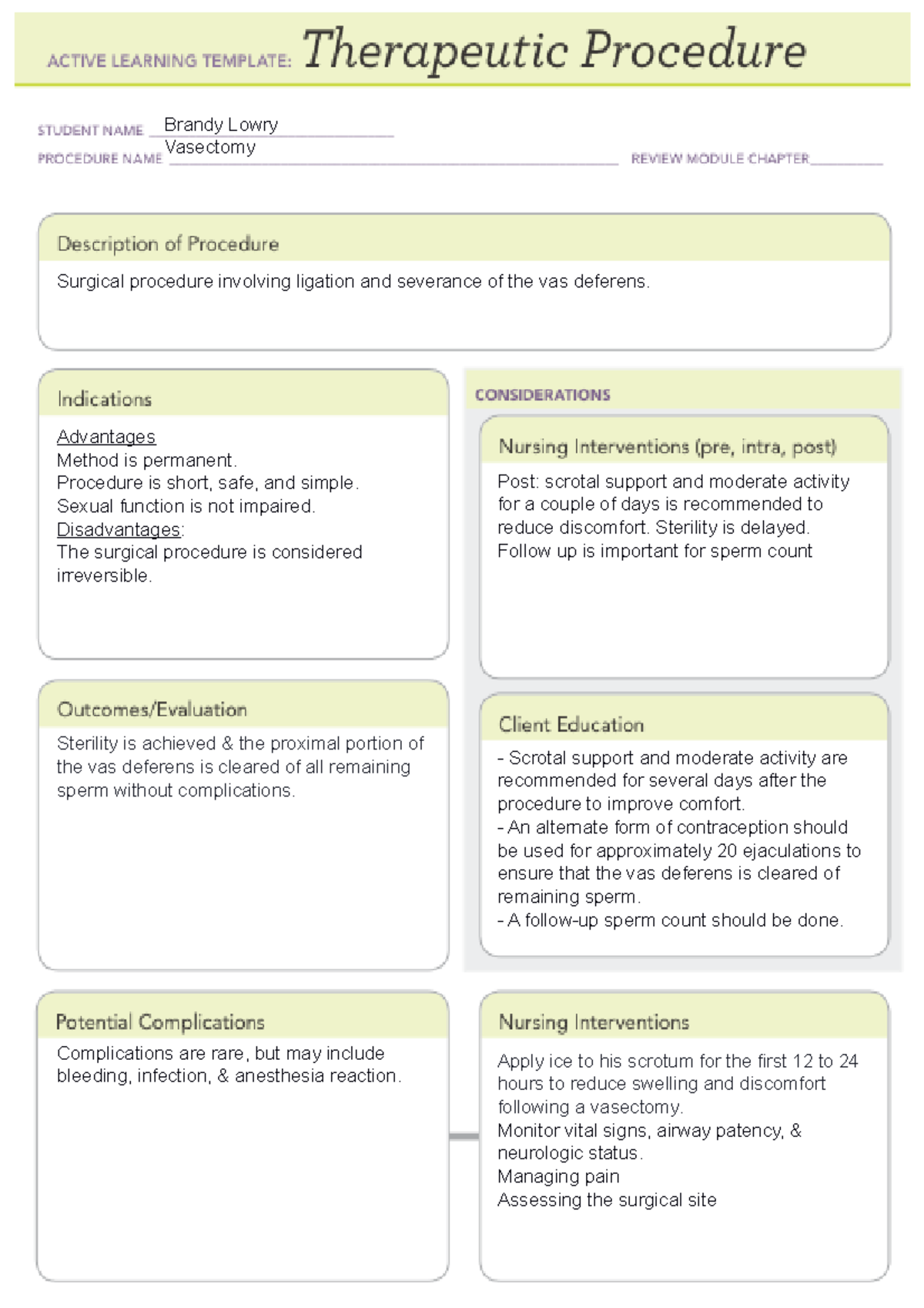 Vasectomy ALT Therapeutic Procedure (editable) Apply ice to his