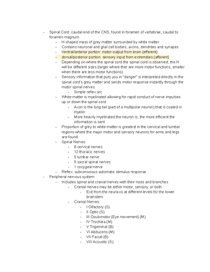 Neuro Notes 1 30 - Domingo - Spinal Cord: caudal end of the CNS, found ...