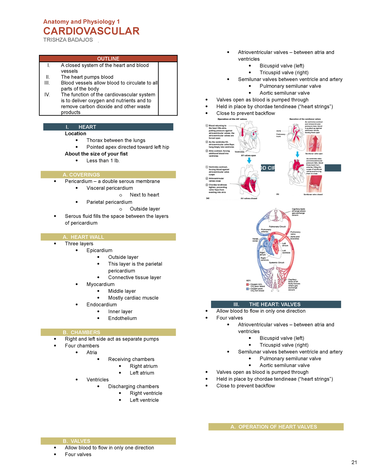 Cardiovascular - Reviewer - Anatomy and Physiology 1 CARDIOVASCULAR ...