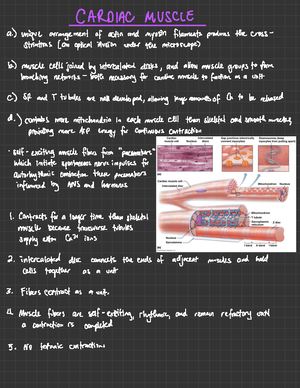 Chapter+5+Student+Outline+-+Lipids%2C+Part+3 - NUTR 280 – Interactive ...