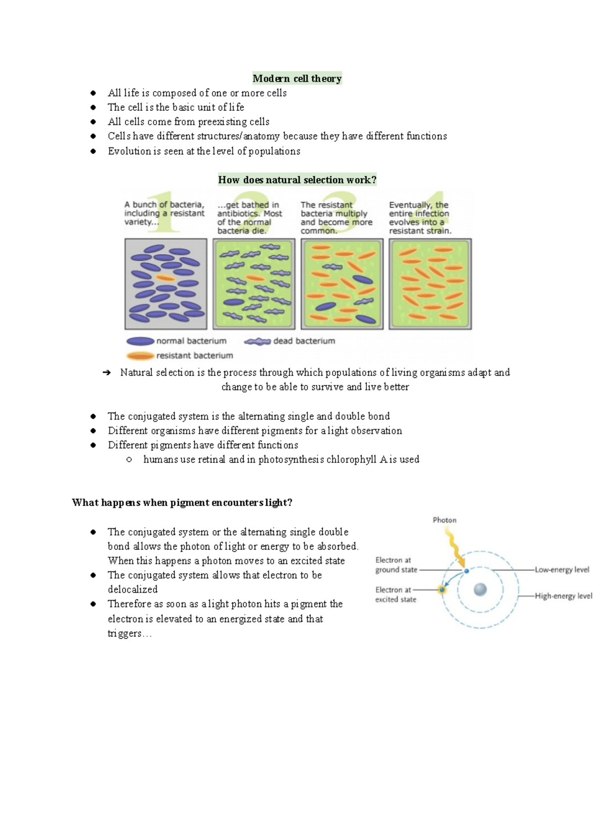 my-test-1-notes-includes-contents-of-modern-cell-theory-intro-to