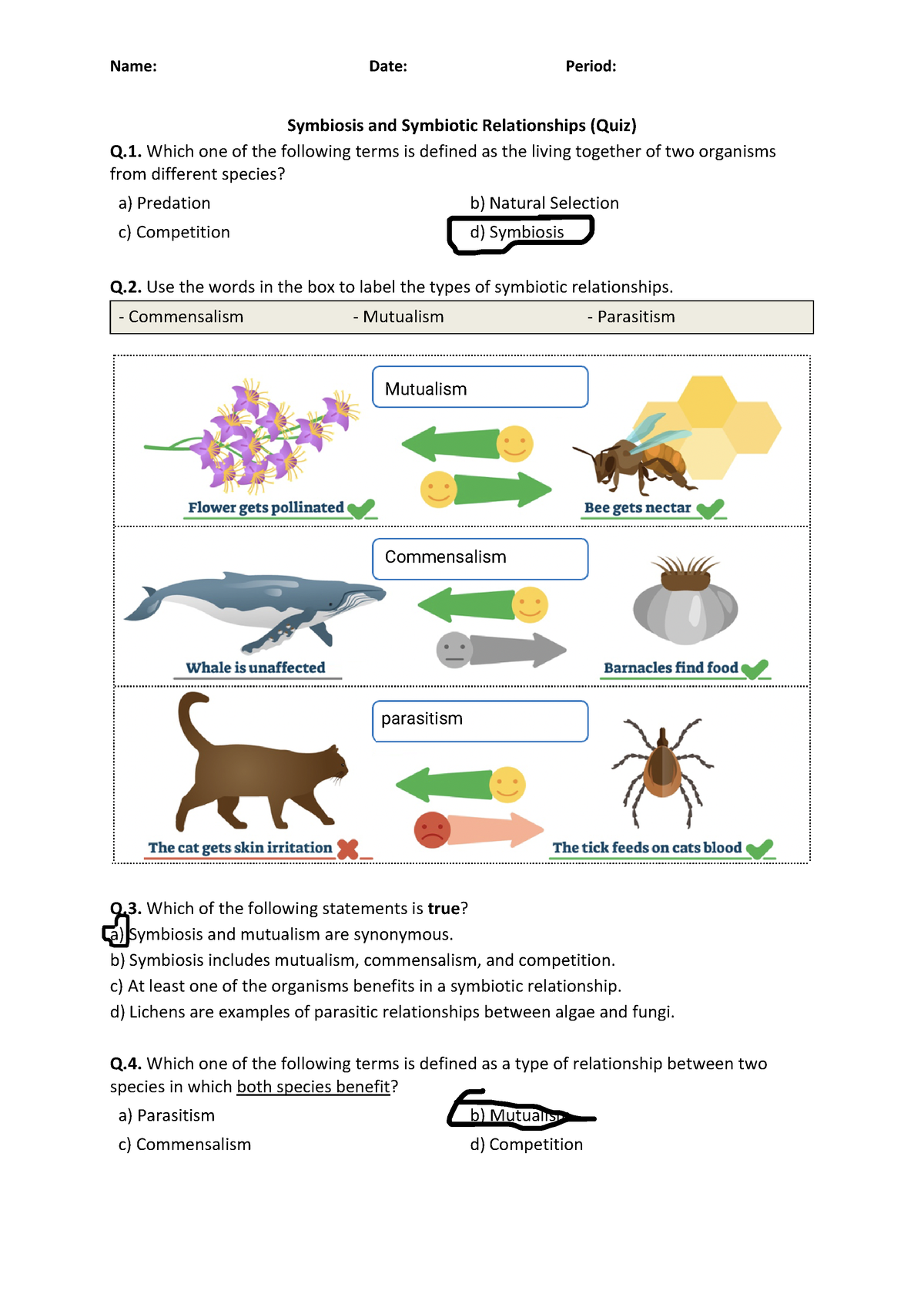 Annotated Symbiosis And Symbiotic Relationships Quiz Name Date Period Symbiosis And 