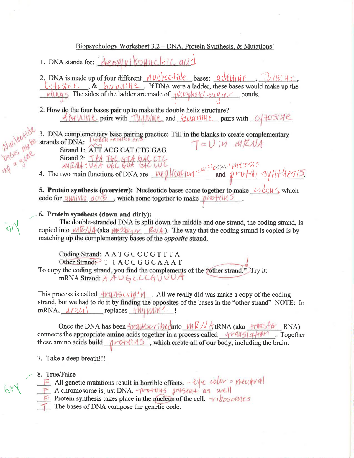 Ws 2222.22 DNA protein syn and mutations - Bio s cholo Worksheet 2222 DNA In Protein Synthesis Review Worksheet