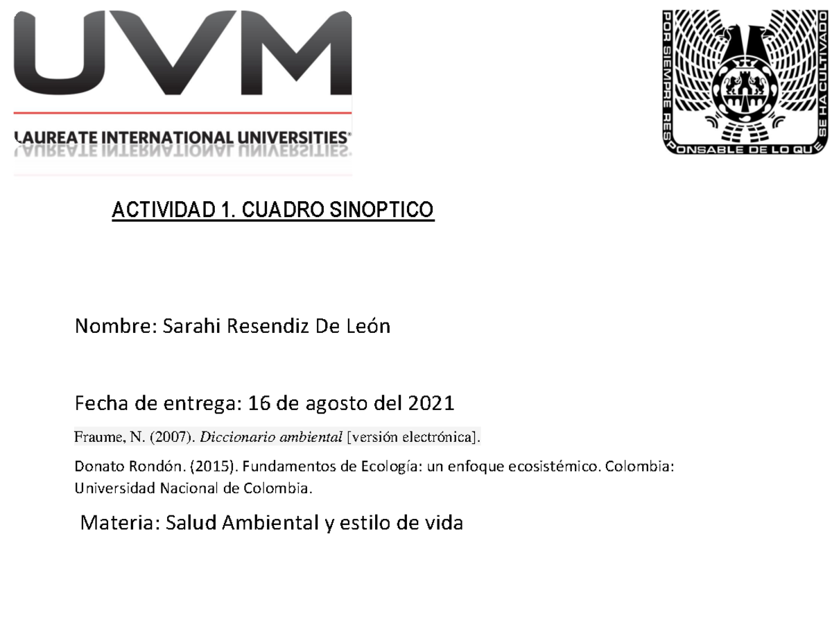 A1 Srdl Cuadro Sinóptico Salud Ambiental Y Estilo De Vida Actividad 1 Cuadro Sinoptico 3219