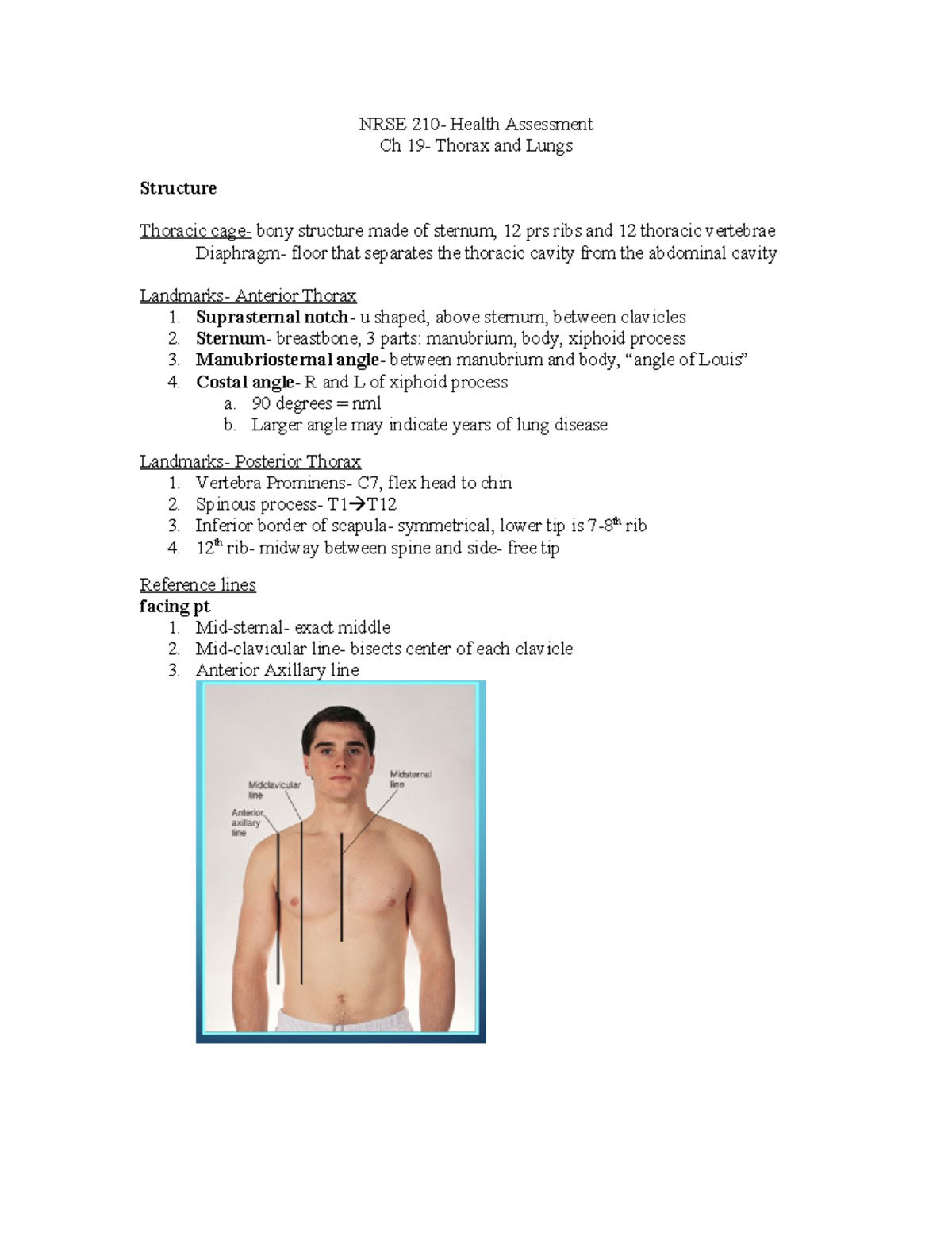 Ch. 19 Lungs outline - NRSE 210- Health Assessment Ch 19- Thorax and ...
