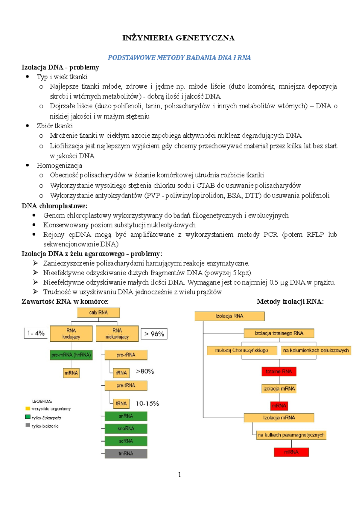 Inżynieria Genetyczna- Egzamin - INŻYNIERIA GENETYCZNA PODSTAWOWE