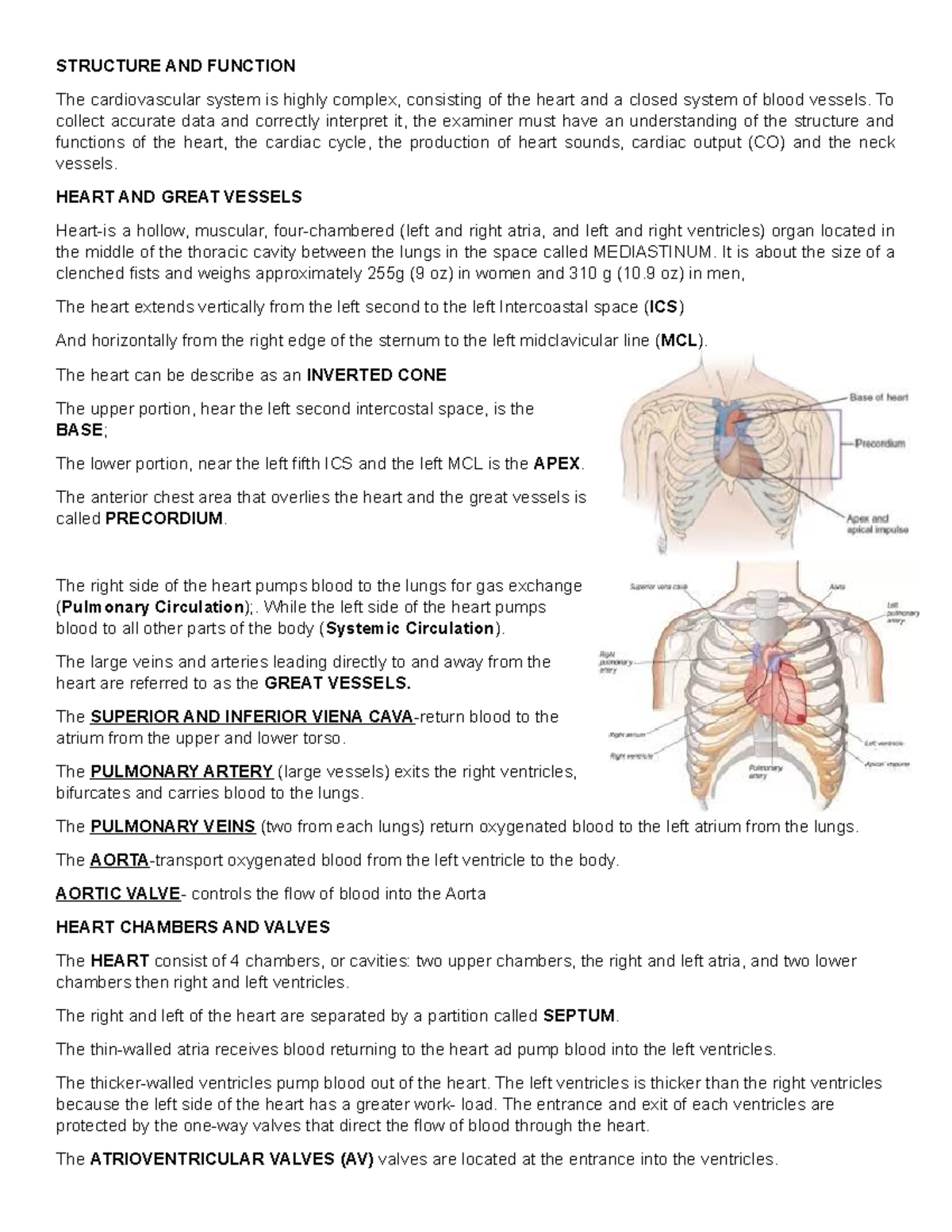 Structure AND Function Cardio - STRUCTURE AND FUNCTION The ...