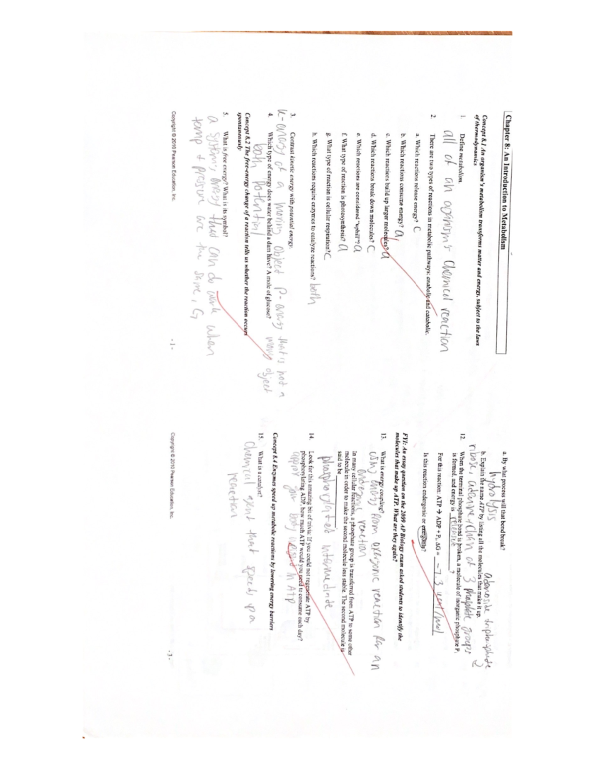 Chapter 8: An Introduction to Metabolism - Bio 1404 - Studocu