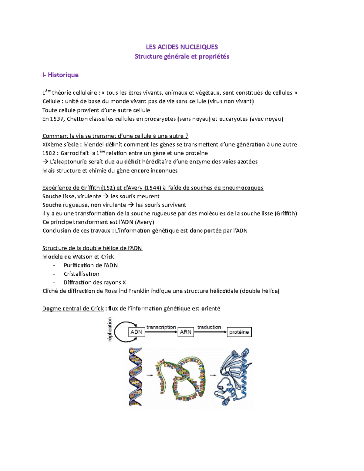 CM Acides Nucléiques - Notes De Cours L1 - LES ACIDES NUCLEIQUES ...