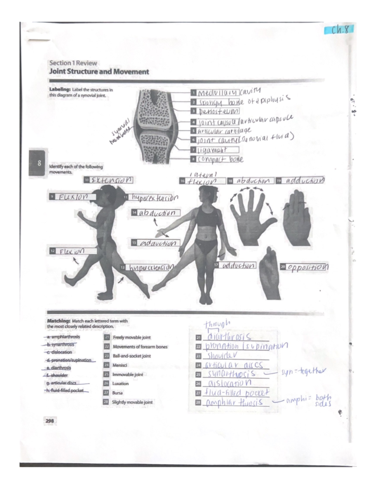 Chapter 8: Joint Structure And Movement Review - BIO 231 - Studocu