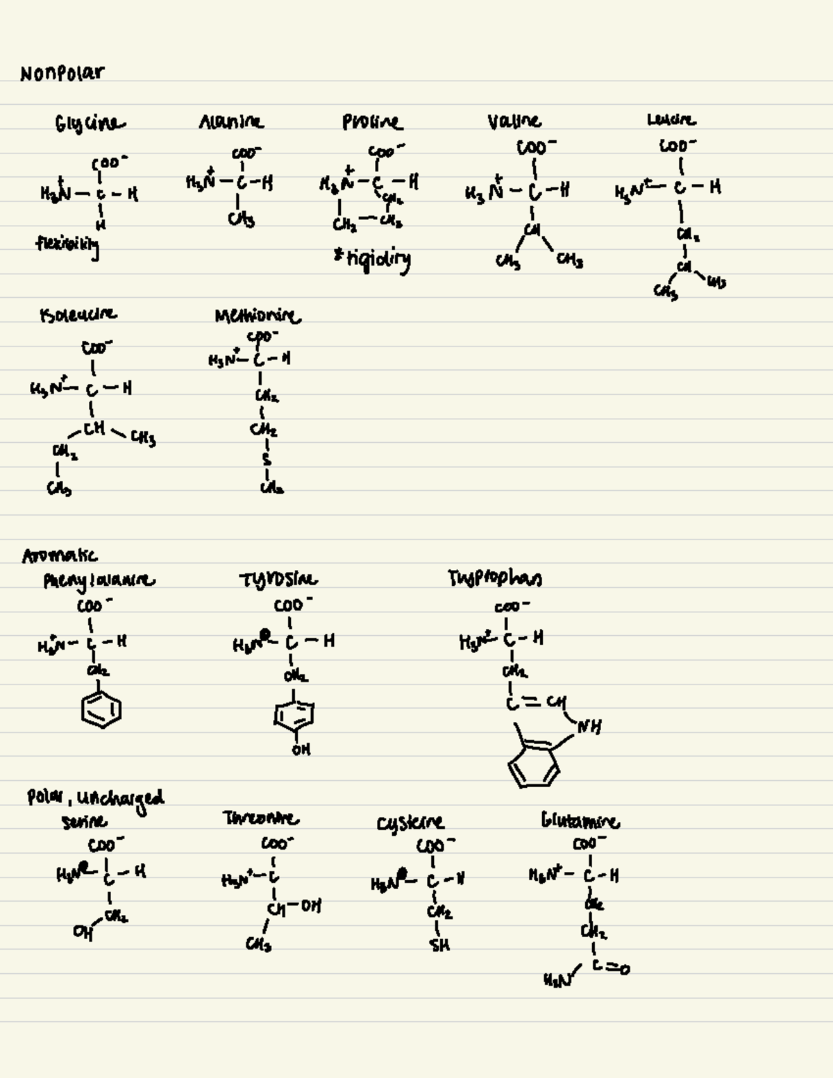 Amino Acids And Nuclei Acids Nonpolar Glycine Alanine Proline Valine