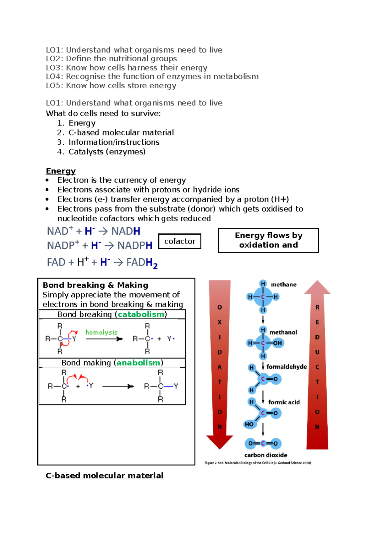 Week 8 how cells get their energy LO1 Understand what organisms need