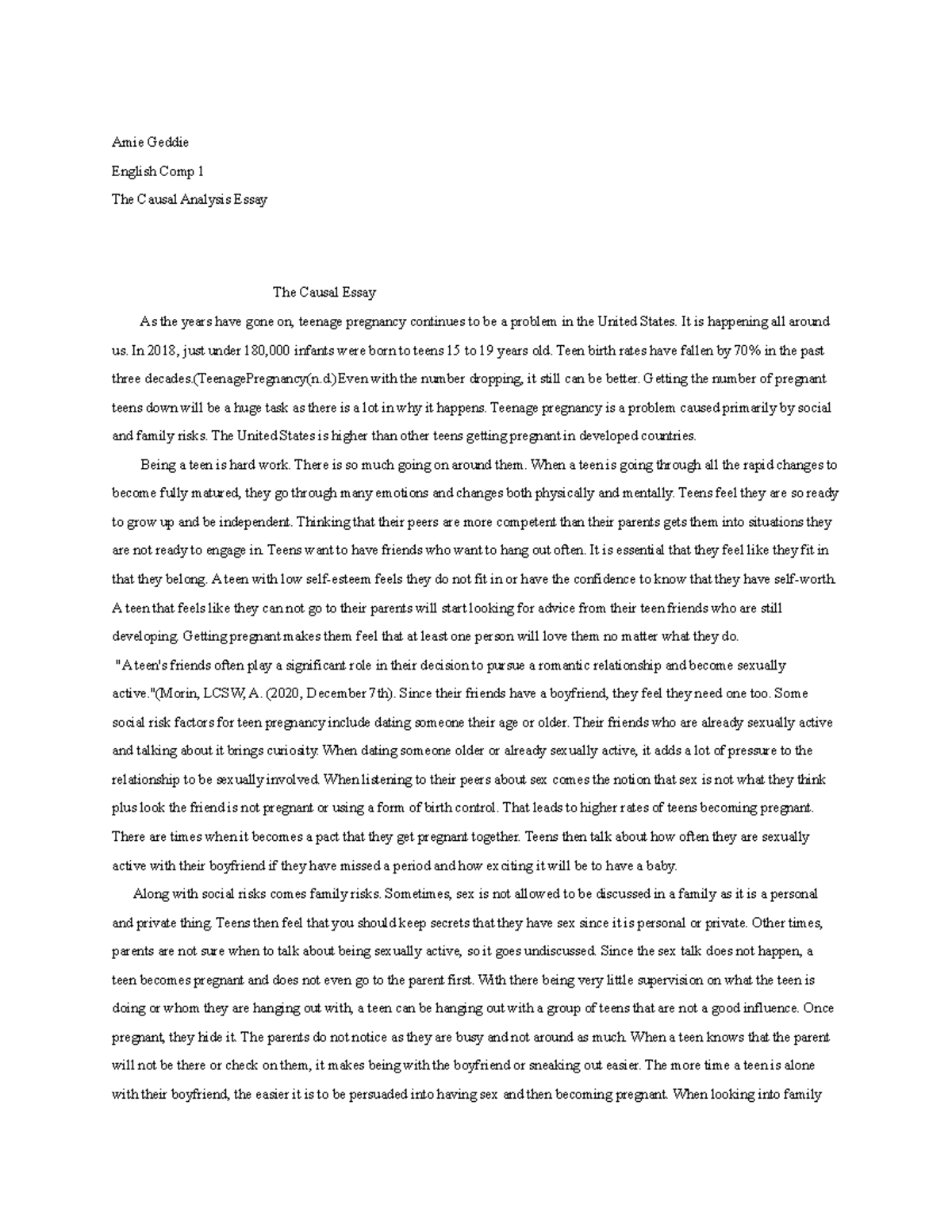 Causal Essay what is something that could be fixed - Amie Geddie ...