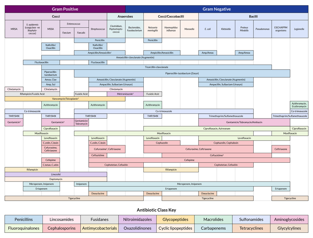 Downloadable-Sheet Antibiotic Coverage - Cocci Anaerobes Cocci ...