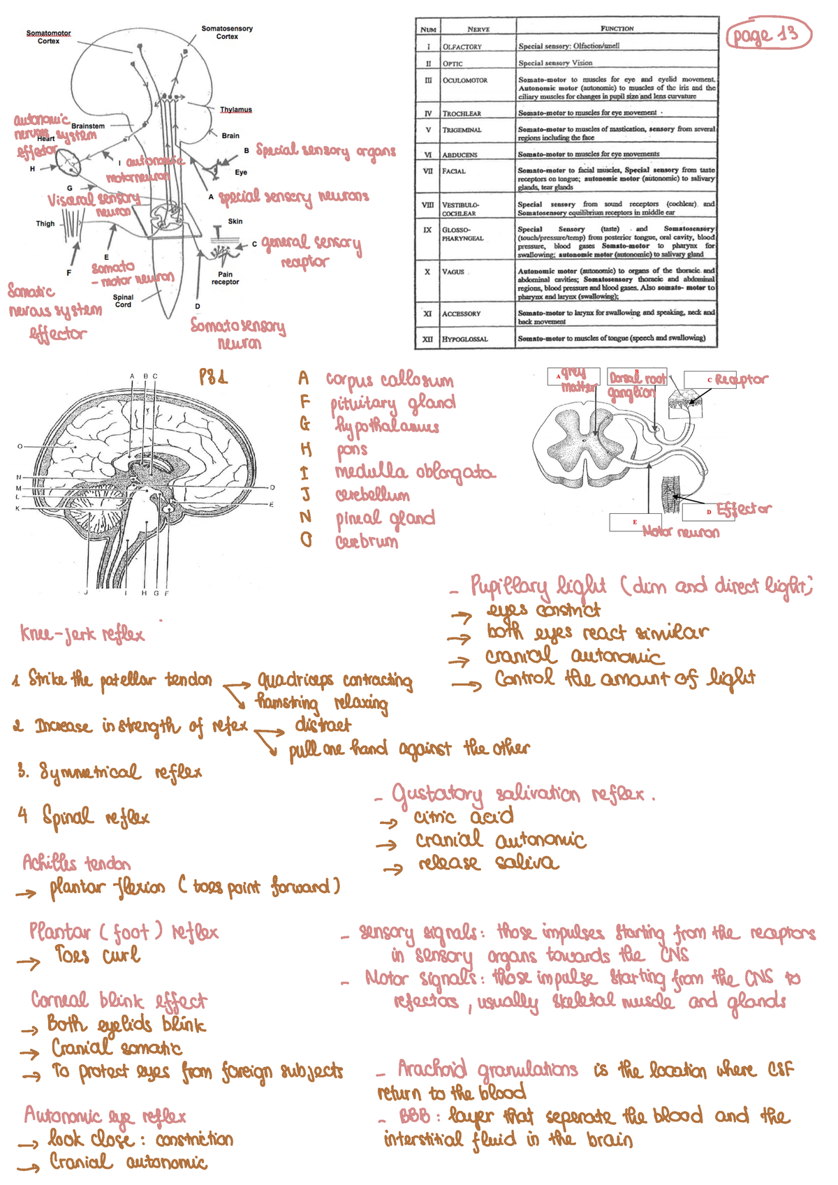 Cheatsheet exam 2021 - 091400 - Studocu