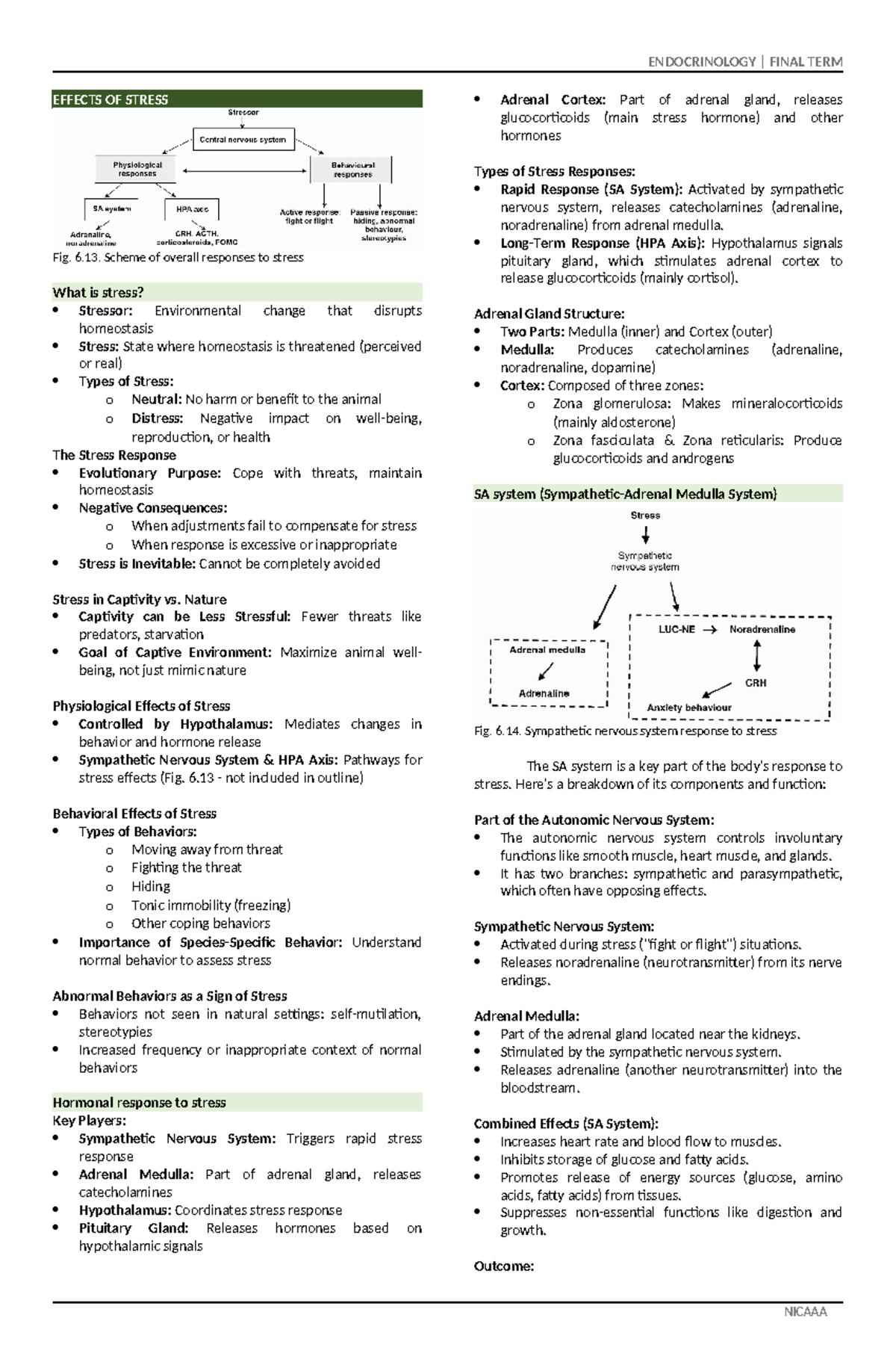 Final TERM Notes - EFFECTS OF STRESS Fig. 6. Scheme of overall ...