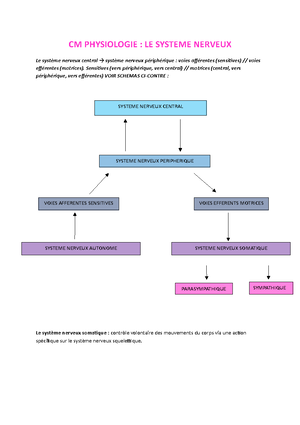 CM1 Anatomie PDF - L1 STAPS CM1 – 14/09/ Anatomie Introduction ...