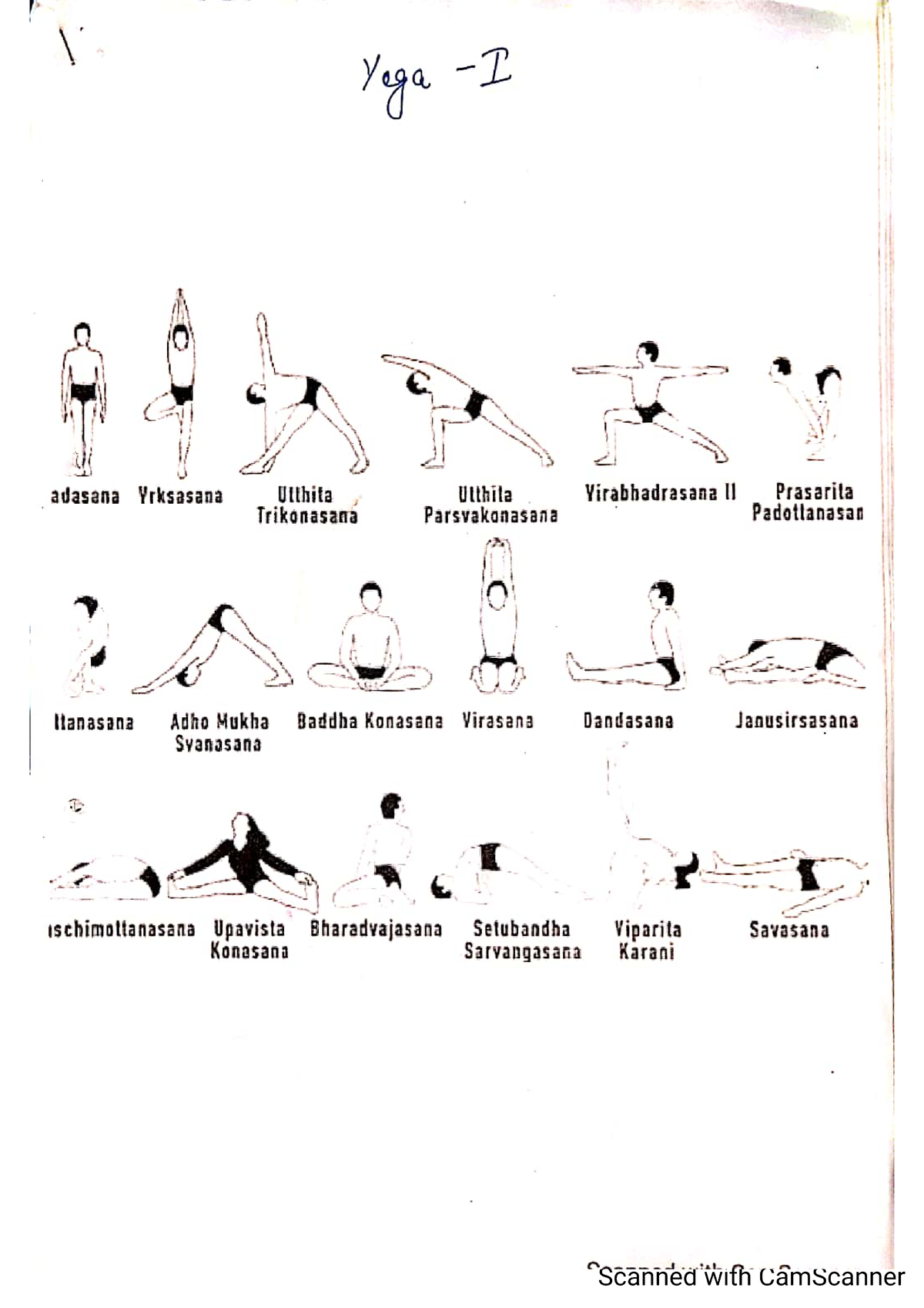 Yoga 1 - Notes of Human Anatomy and Physiology - Studocu