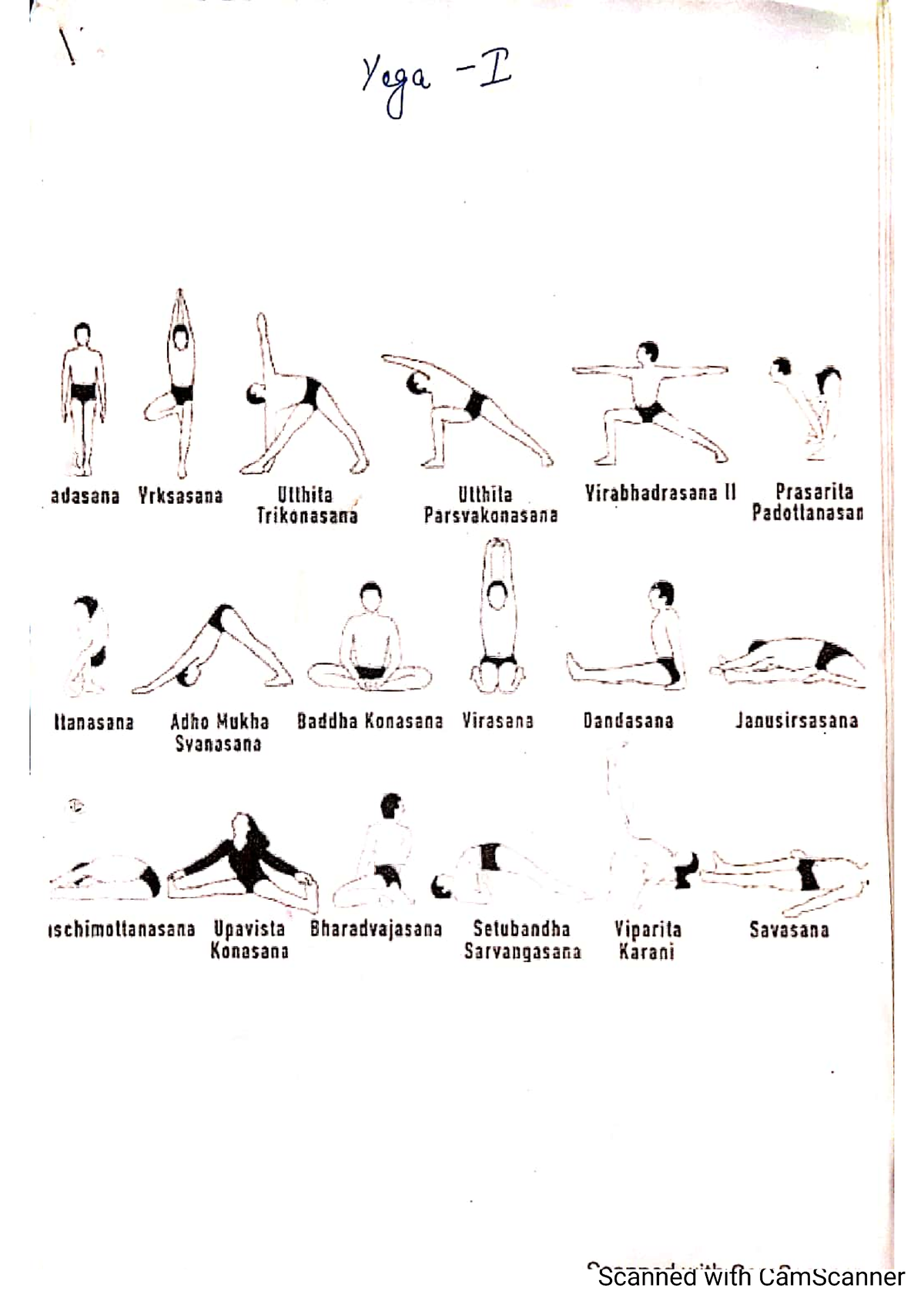 Yoga 1 - Notes Of Human Anatomy And Physiology - Studocu