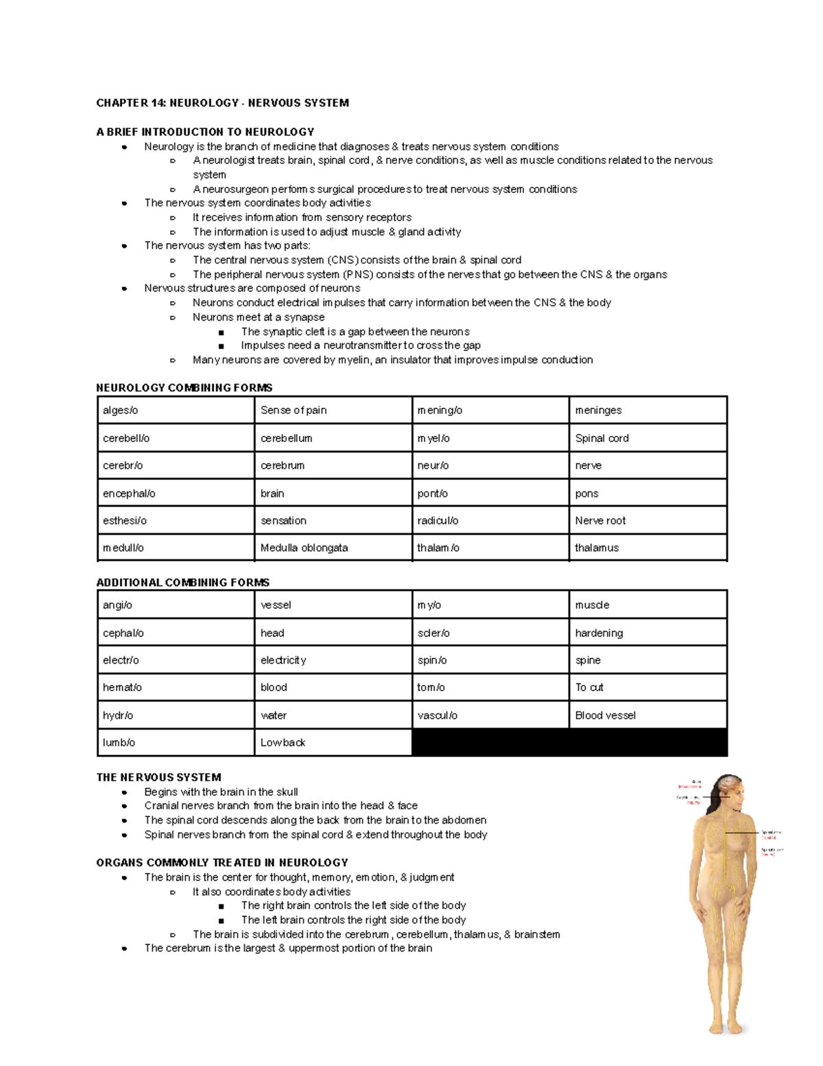 HSA 3534 Chp 14 Notes - CHAPTER 14: NEUROLOGY - NERVOUS SYSTEM A BRIEF ...