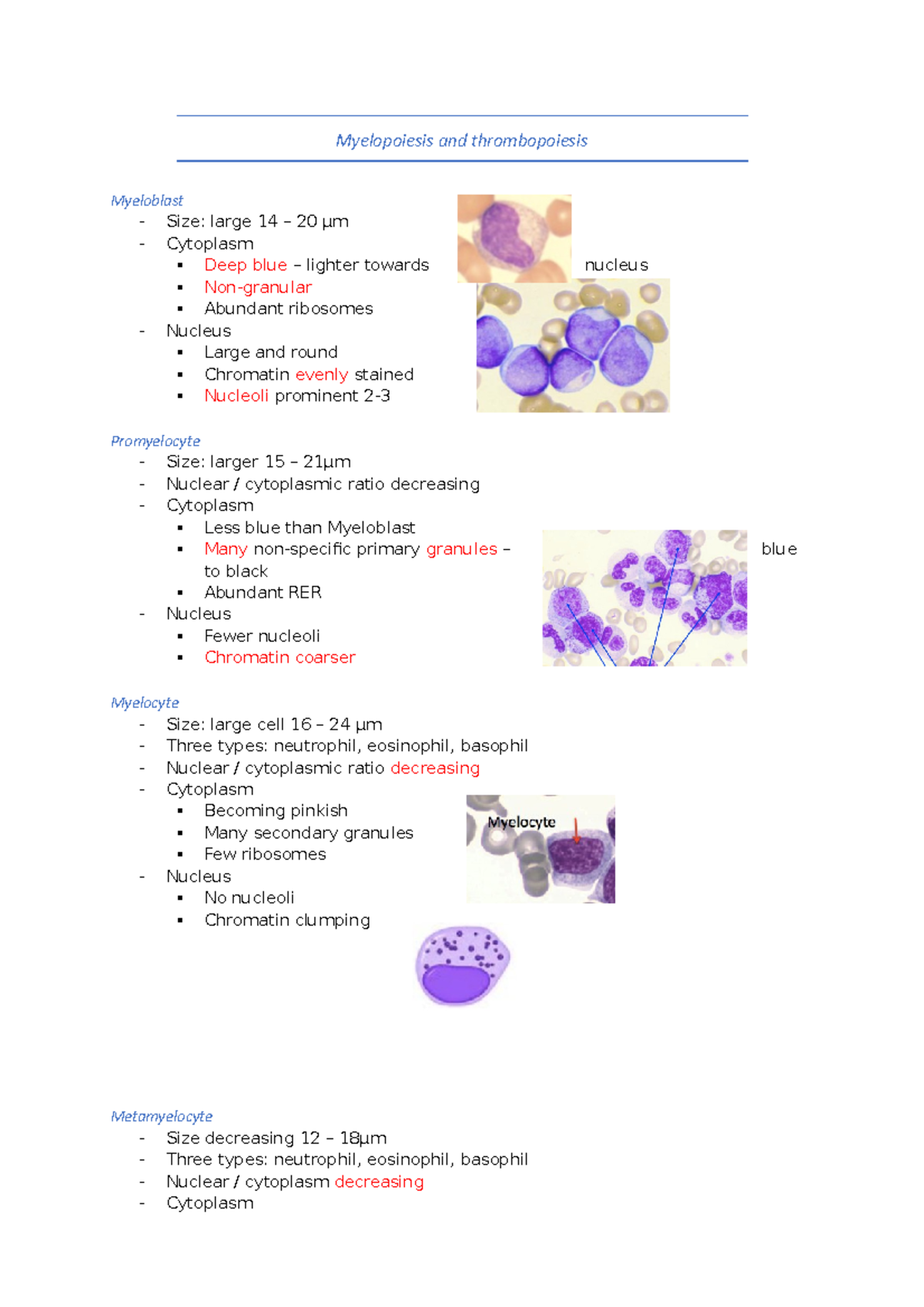 Myelopoiesis And Thrombopoiesis - Myelopoiesis And Thrombopoiesis 