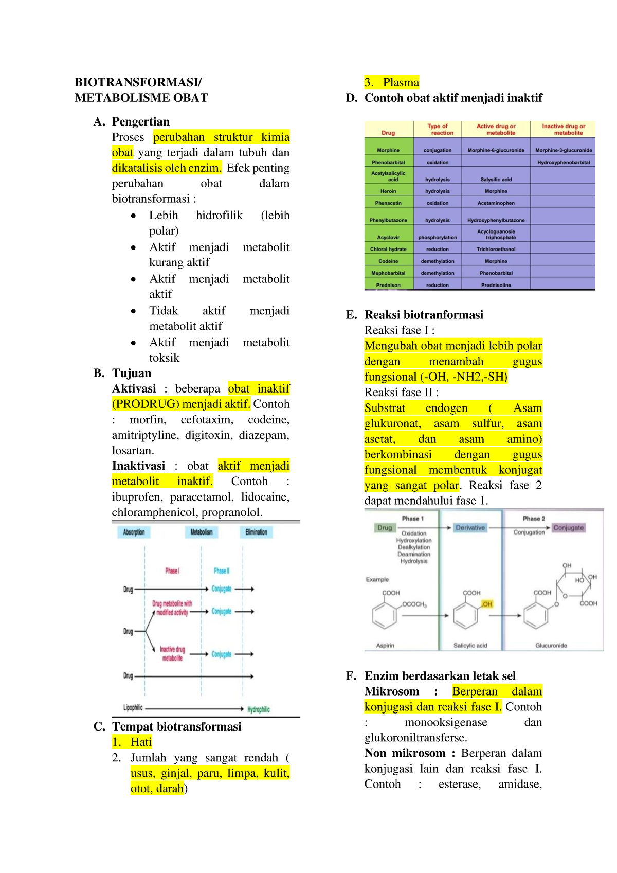 P2 Farmakokinetika Metabolisme Dan Eksresi 1 4 Biotransformasi