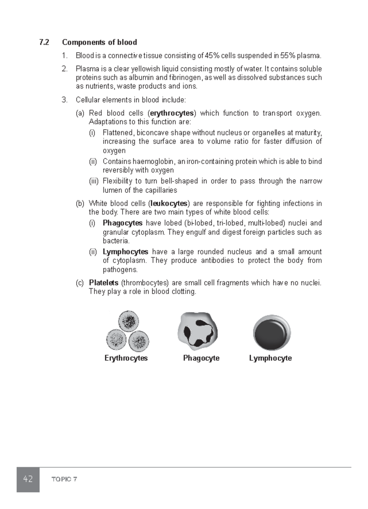 48 - hello - 42 TOPIC 7 7 Components of blood 1. Blood is a connective ...