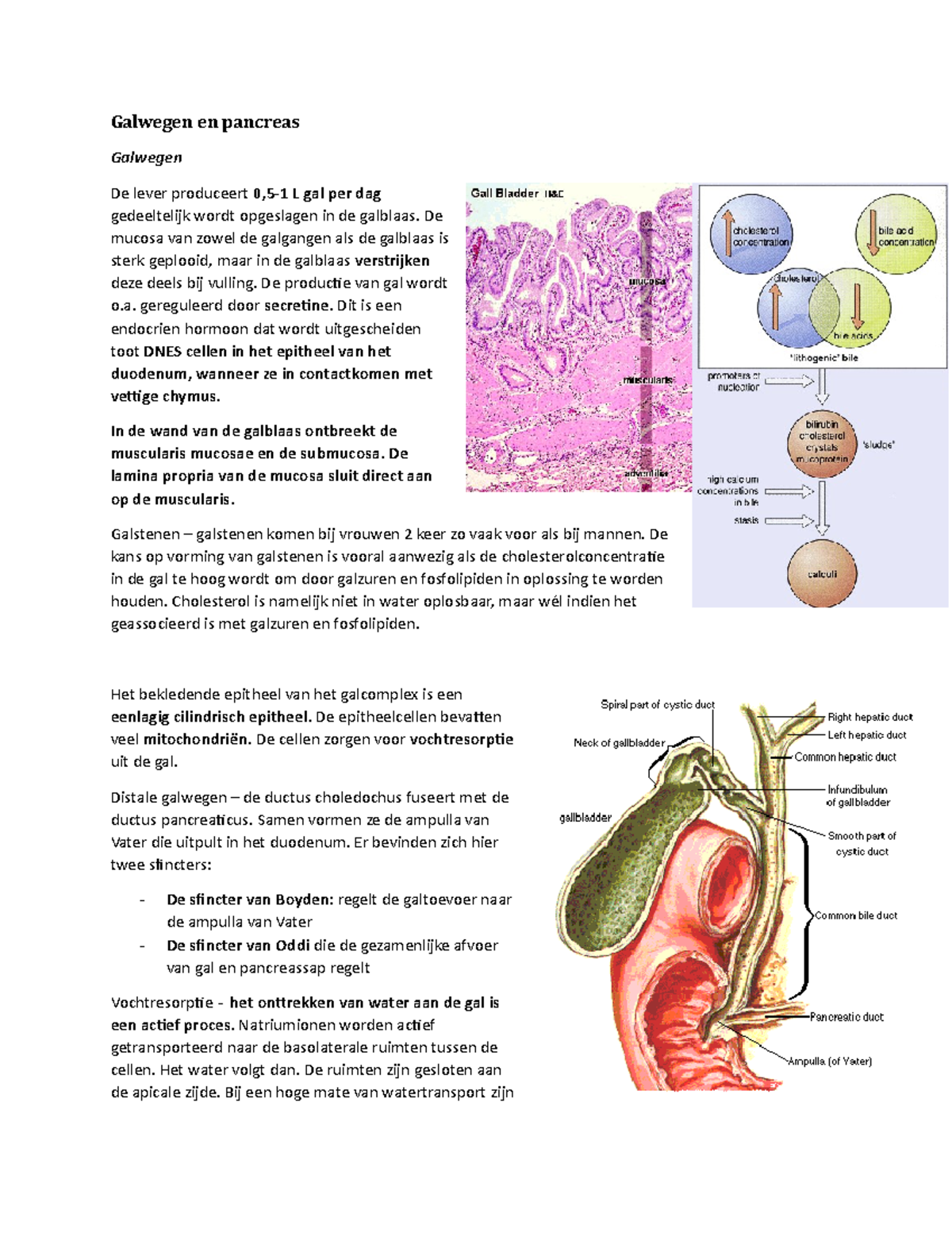 COO pancreas en galwegen Galwegen en pancreas Galwegen De lever