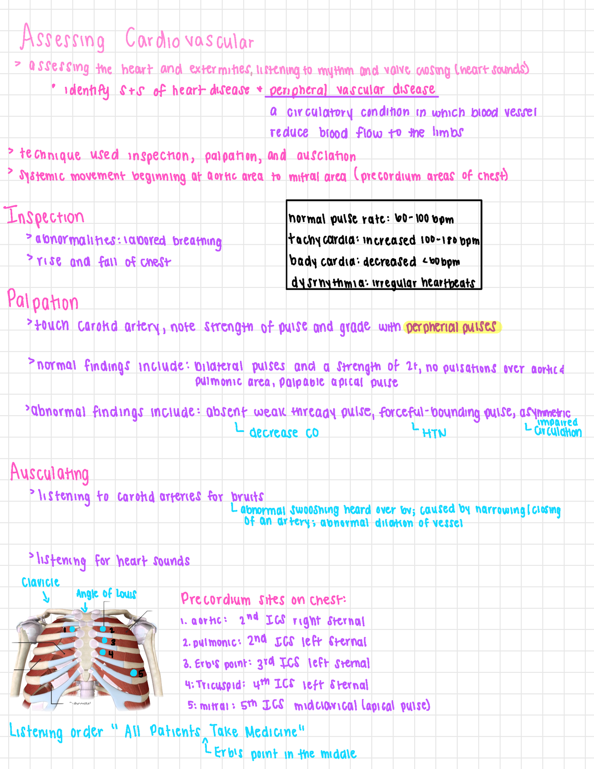 Review Notes Cardiac - Assessing Cardiovascular -assessing the heart ...