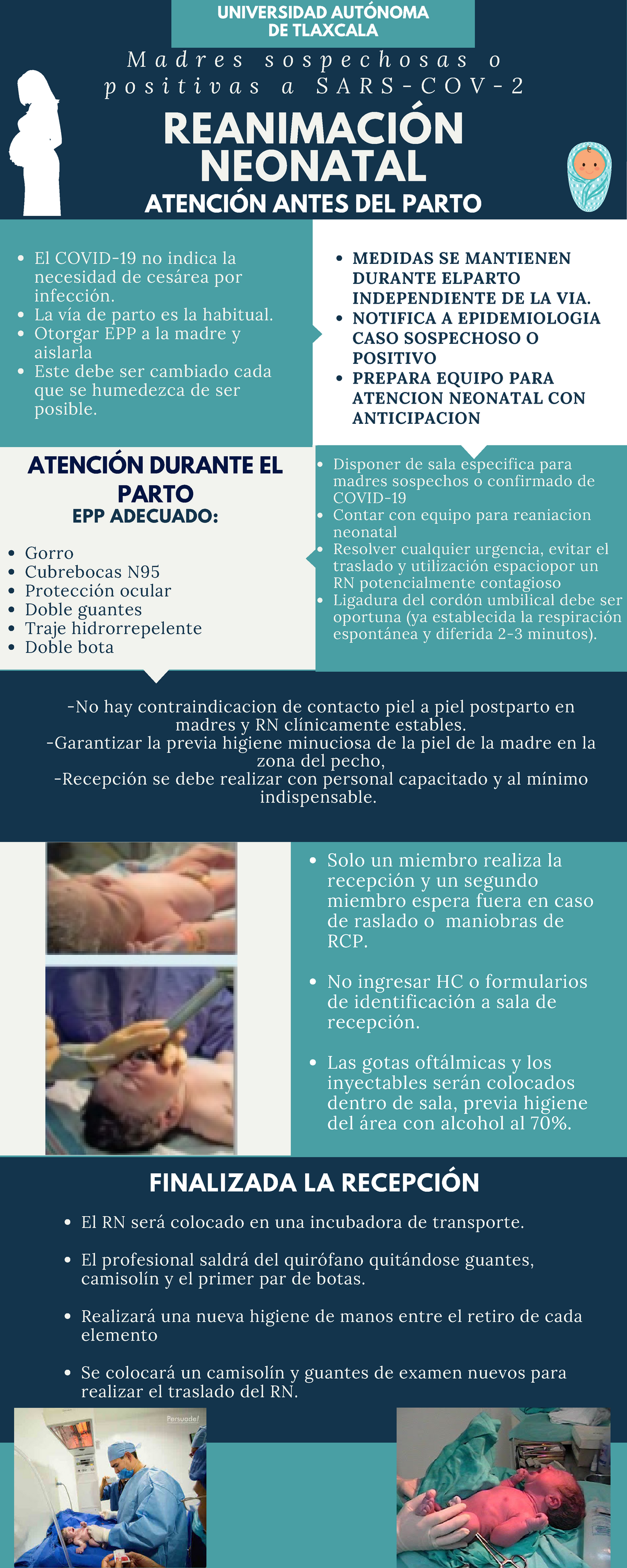 Infografias Pediatria Geriatria Uat Studocu