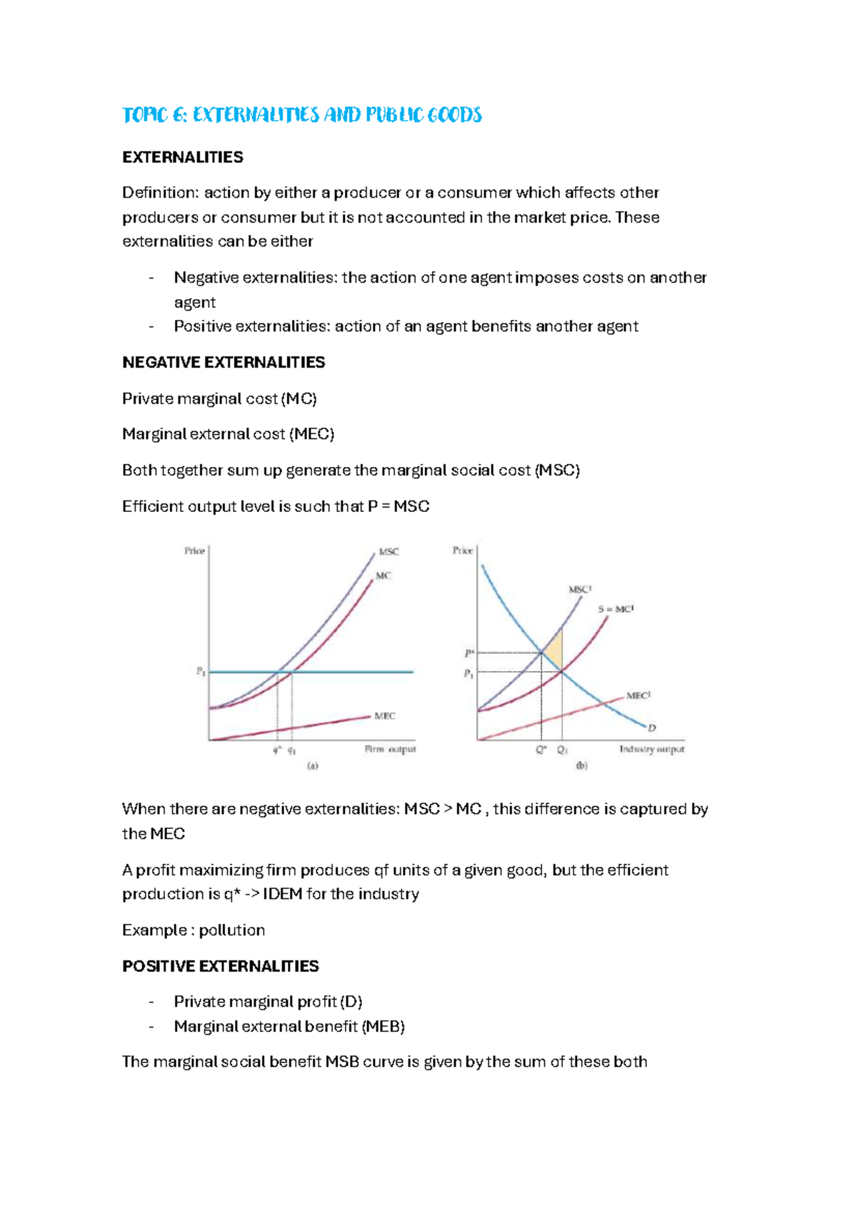 Topic VI- Micro II - ... - TOPIC 6: EXTERNALIT IES AND PUBLIC GOODS ...