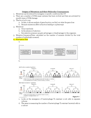 F-Section II-2020 (b To B), Molecular Genetics - SECTION II FROM ...