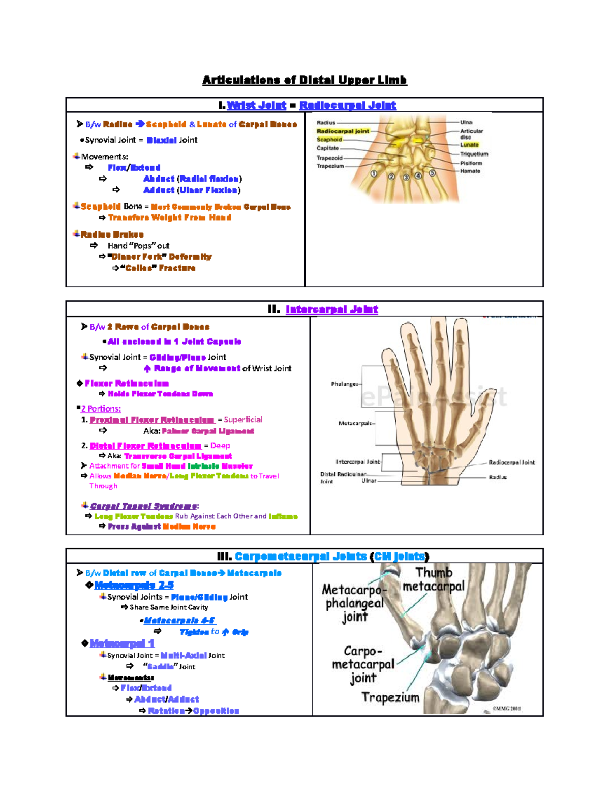 Articulations of Distal Upper Limb 1 - Wrist Joint = Radiocarpal Joint ...