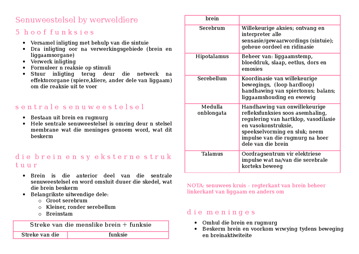 Senuweestelsels - Grade 12 Biology Notes - Senuweestelsel by ...