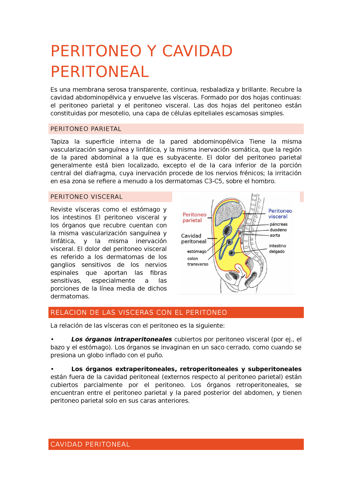 peritoneo visceral vs peritoneo parietal