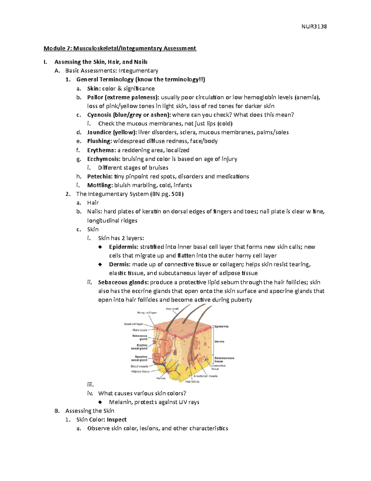 Module 7 - Skin Musculoskeletal Assessment - Module 7: Musculoskeletal ...