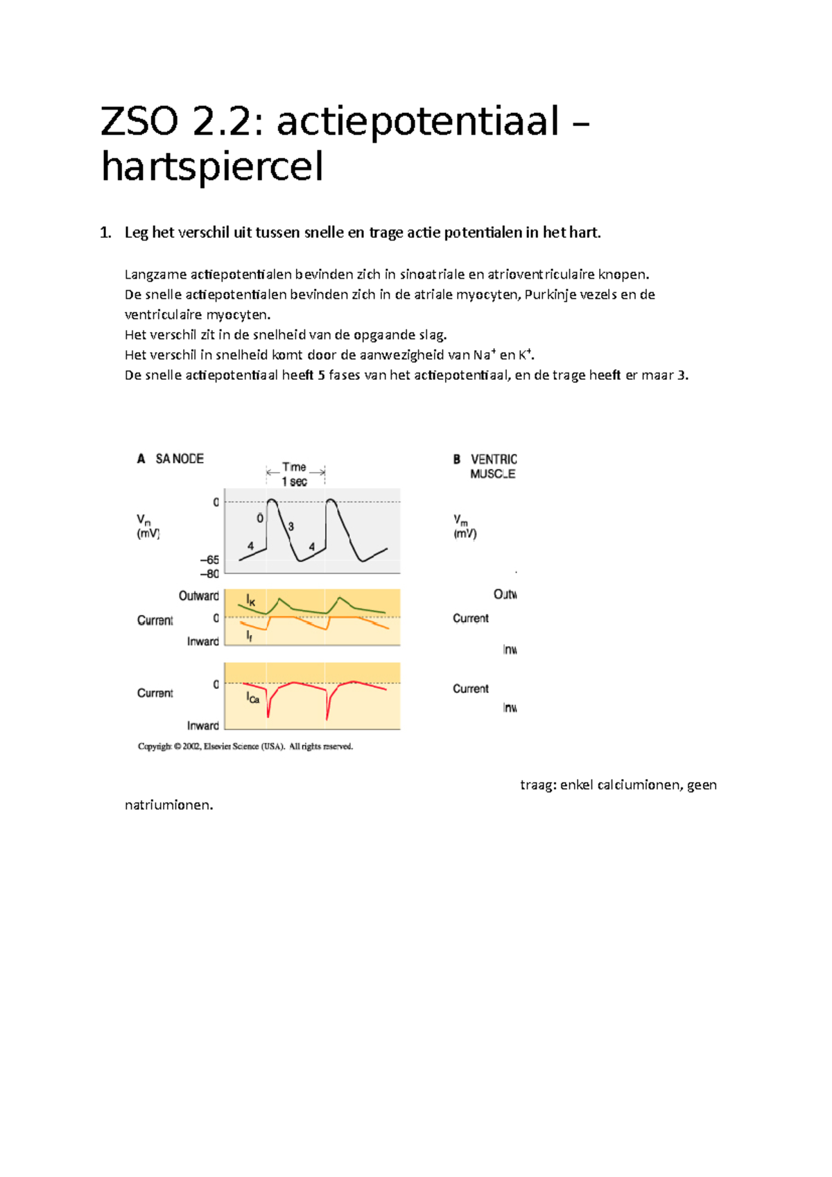 ZSO 2 - Zelfstudieopdracht celfysio - ZSO 2: actiepotentiaal ...