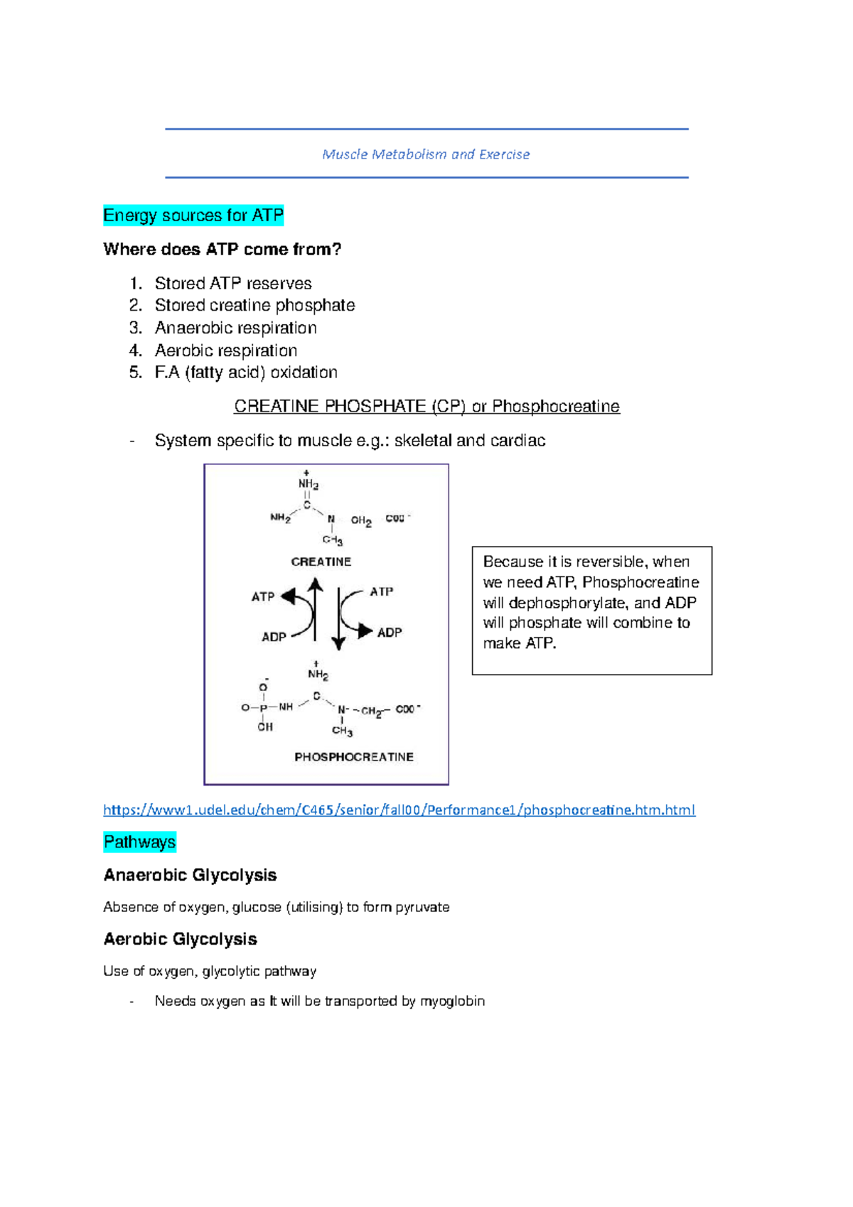 Muscle Metabolism and Exercise - Muscle Metabolism and Exercise Energy ...