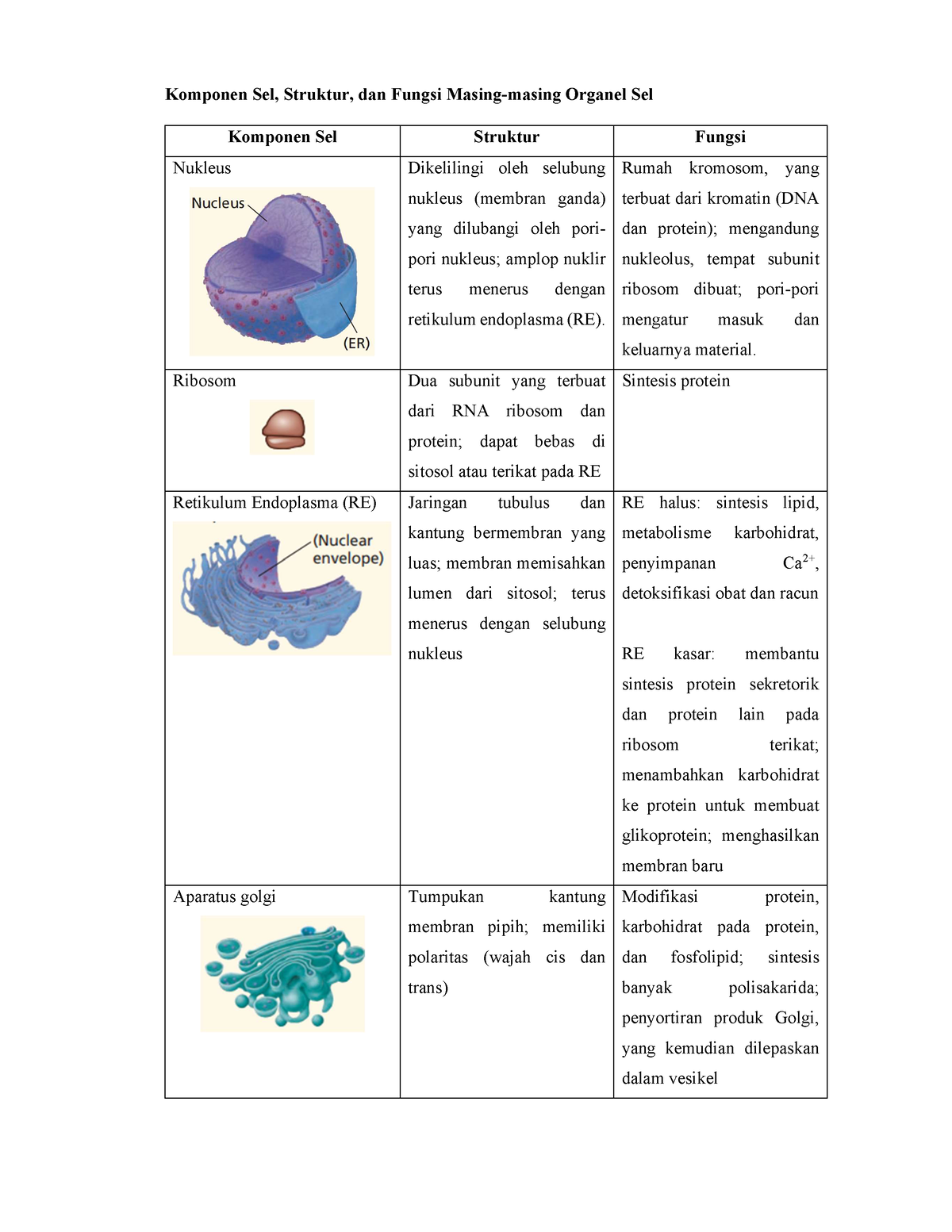 Komponen Sel, Struktur, Dan Fungsi Masing-masing Organel Sel - Rumah ...