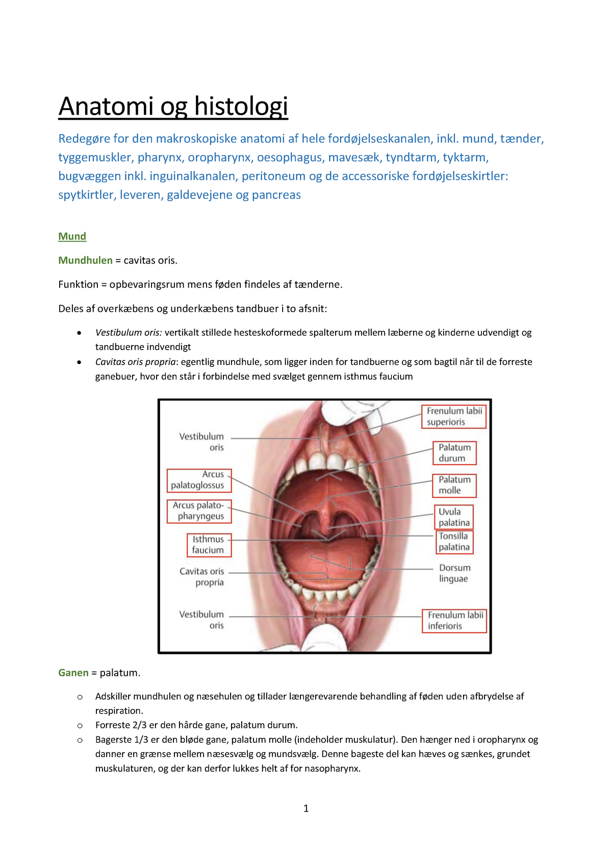 Modulplan ford jelsessystemet 2.1 Anatomi og histologi Redeg re