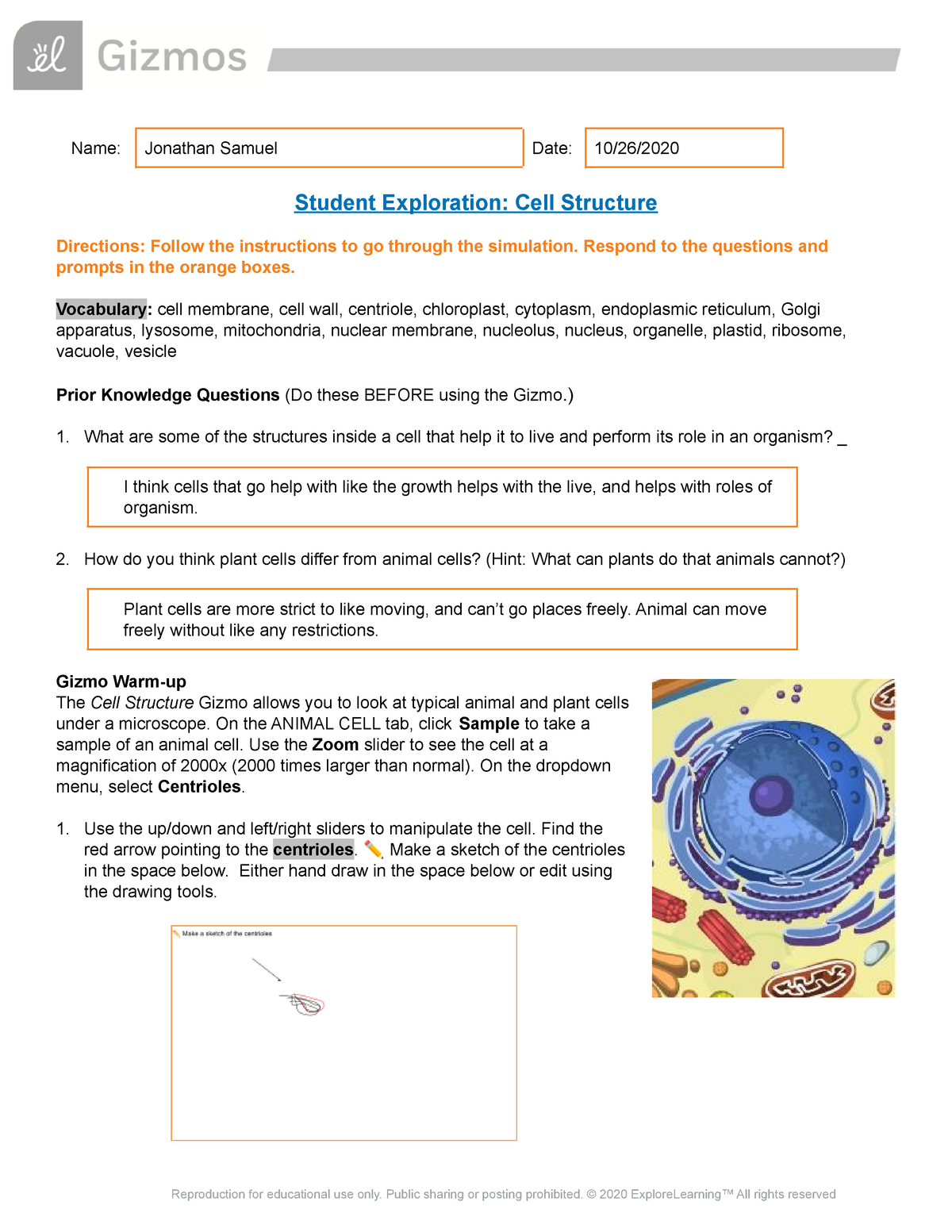 The Information That An Animal Cell Uses For Growth And Activities